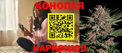 гашик Сланцы