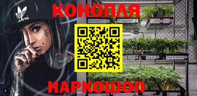 apvp Ставрополь