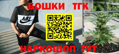 гашик Сланцы